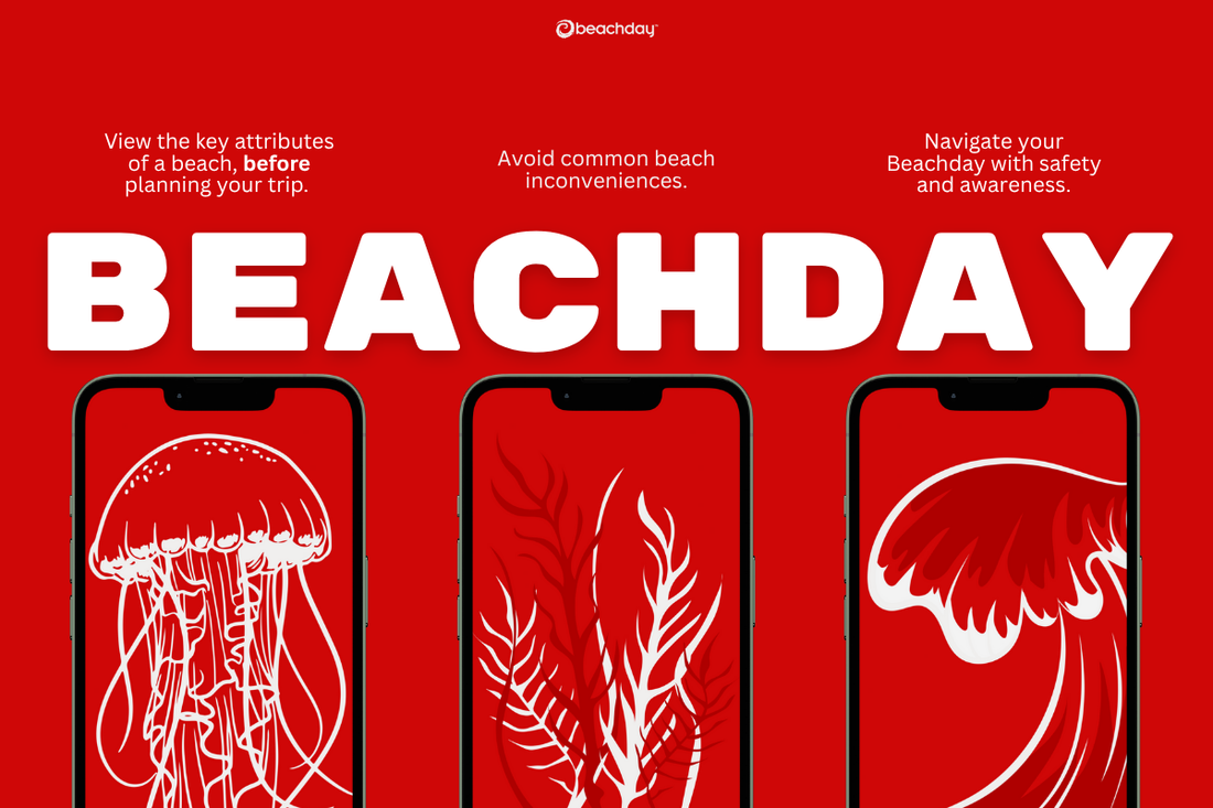 preview of beachday beach app and what you can do with the ap