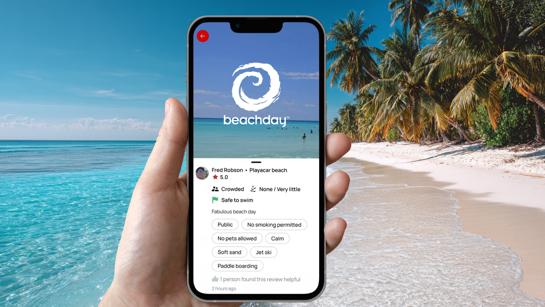 A person holding a smartphone showing the Beachday app with a 5-star beach review at Playacar Beach, overlaid on a tropical beach with clear turquoise water, soft sand, and palm trees in the background.
