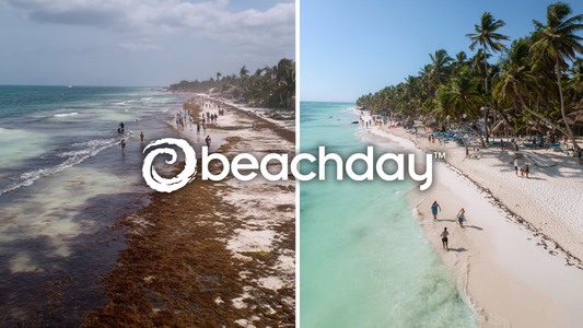 Split image of two beaches: left side shows a crowded shoreline covered in brown sargassum seaweed under cloudy skies; right side shows a clear water tropical beach with white sand, palm trees, and sunny weather. Beachday logo centered.