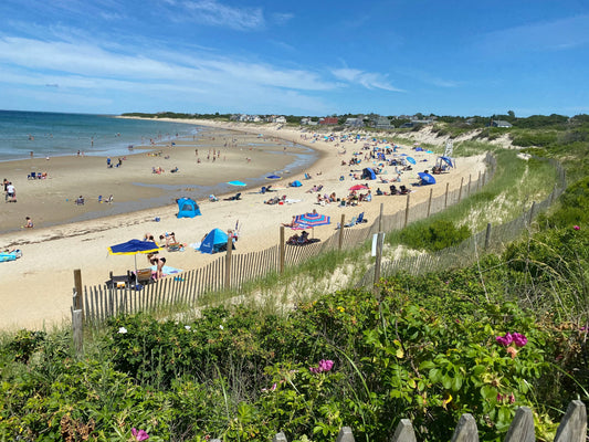 A beach would people set up enjoying the day
