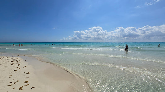 Riviera Maya Beach Highlights of the Week: Playacar Beach Conditions Are Near Perfect