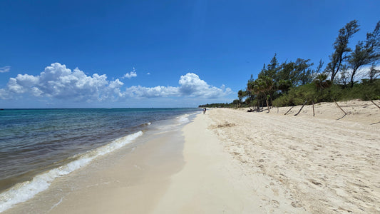 Playa del Carmen beach with brownish clear water near shore, blue Caribbean water in the distance, white sand, and clear skies