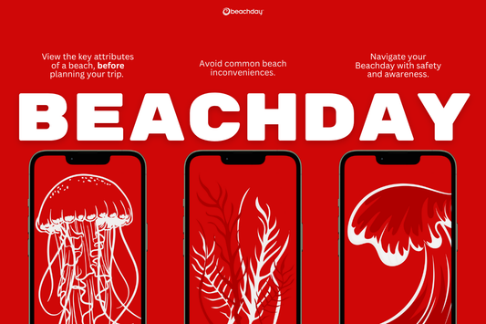 preview of beachday beach app and what you can do with the ap