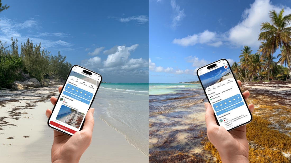 a split screen of a nice and bad beach with the beachday app showing reviews