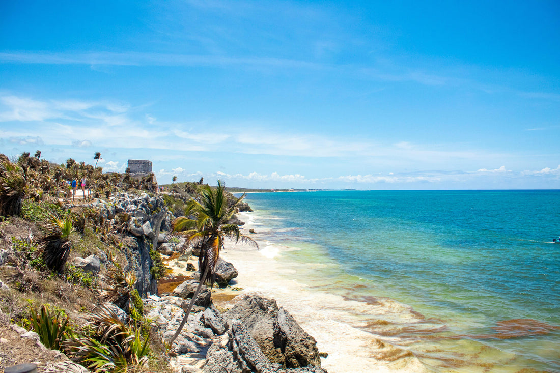 Is Sargassum Season Finally Over in the Riviera Maya? Here’s What Beachday Reviews Reveal